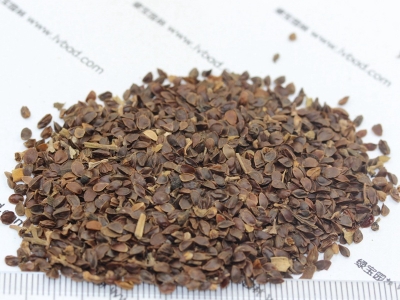 室外栽培假龍頭播種后需要多久會(huì)開花？