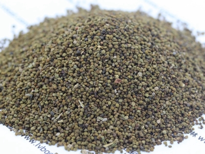 半枝蓮種子種植時間是什么時候？