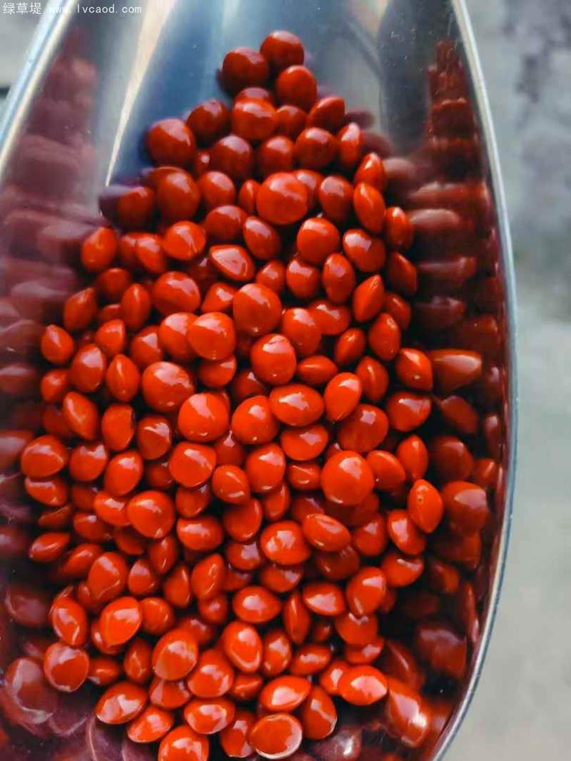 紅豆種子